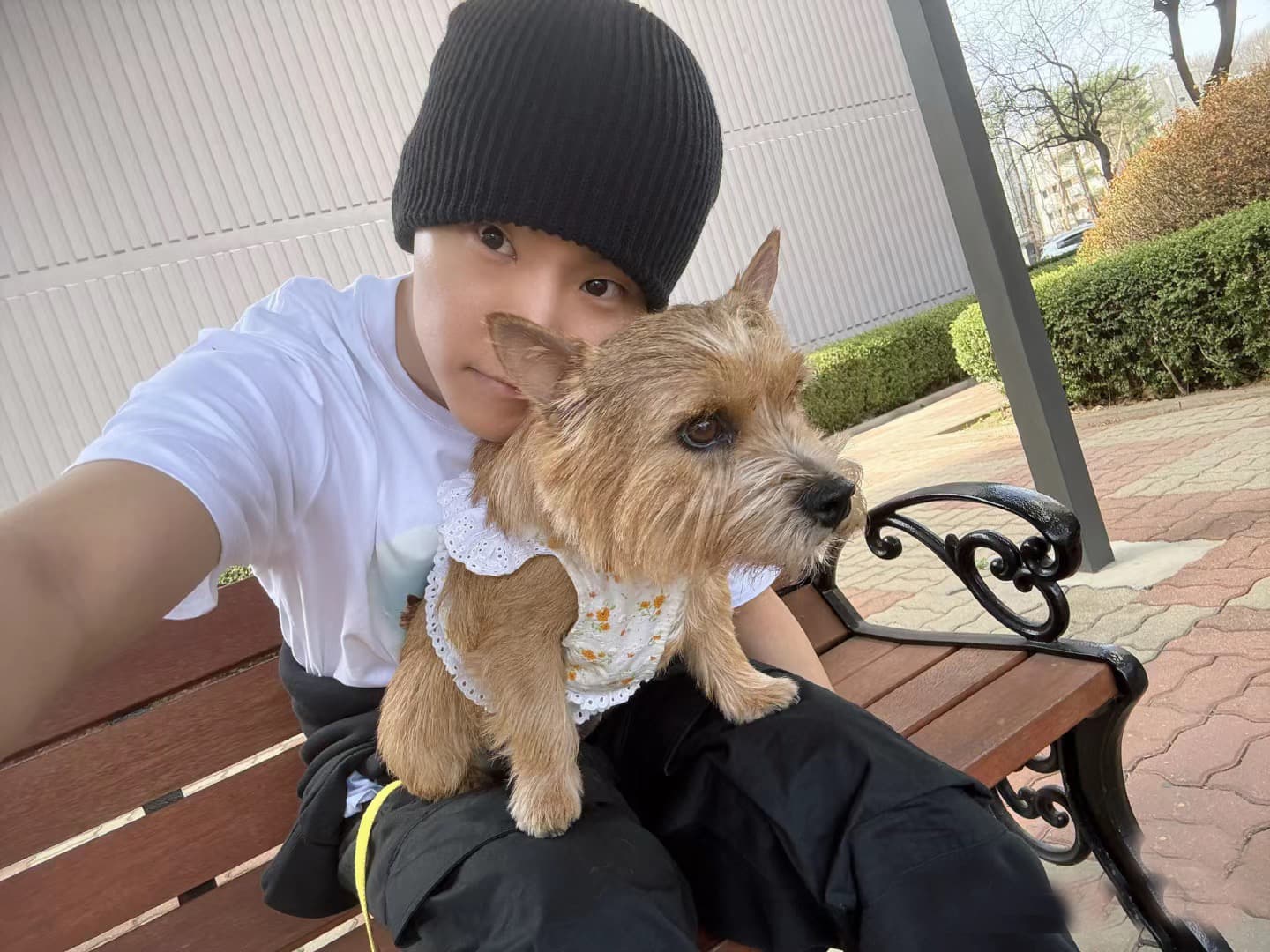 白Tシャツ メンズ 愛犬と過ごす癒しの一枚